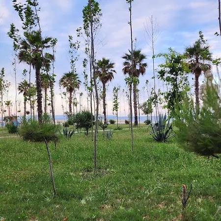 Apartment, Center & Close To The דירה דורס